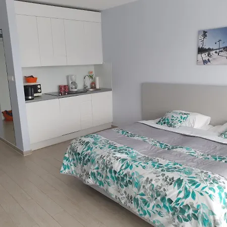 Apartment Czarna Gora Faktura Vat Sienna (Klodzko)