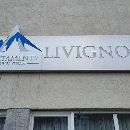 Czarna Góra Faktura Vat *